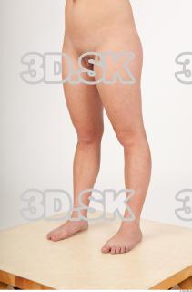 Leg texture of Lorraine 0004